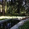 Каскадные ручьи между 108 и 109 участками Руза Фэмили Парк