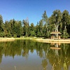 Полуостров на лесном озере - место отдыха и релаксации.