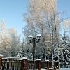 Участки с лесными деревьями, Коттеджный поселок Руза Фэмили Парк (декабрь 2013 г.)