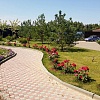 Украшение Руза Фэмили Парк - сортовые розы!