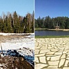 В Руза Фэмили Парк - мы построили лесное озеро самостоятельно - зима 2013 года и лето 2015 года.