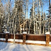 Жизнь в Королевском лесу прекрасна! Зима 2016года.