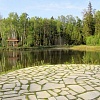 Беседка около лесного озера