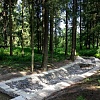 Руза Фэмили Парк и лесная территория
